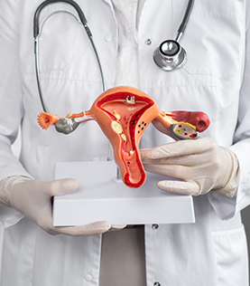 doctor-foto